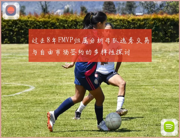 过去8年FMVP归属分析母队选秀交易与自由市场签约的多样性探讨