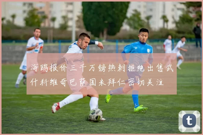 海鸥报价三千万镑热刺拒绝出售武什科维奇巴萨国米拜仁密切关注