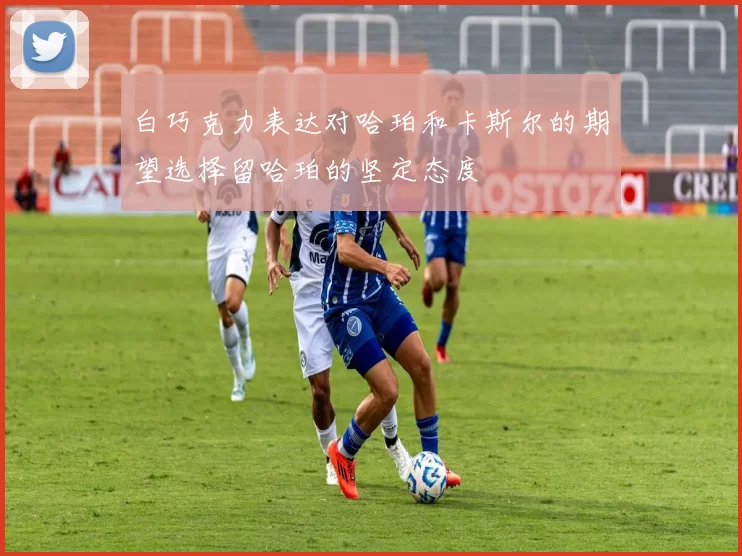 白巧克力表达对哈珀和卡斯尔的期望选择留哈珀的坚定态度